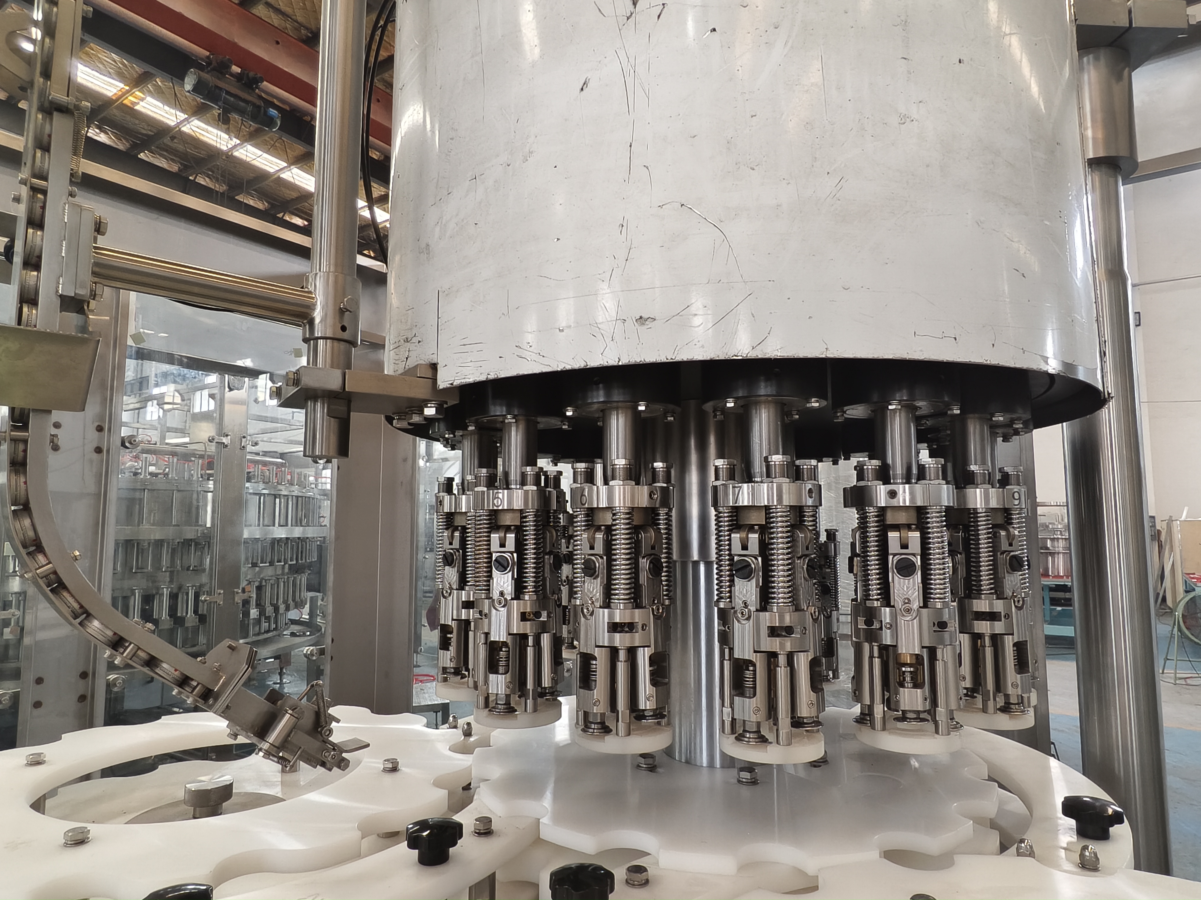 微信图片 _202407011612181