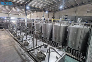 Système de traitement de l'eau Ro Filtre à eau Système d'osmose inverse pour la plante d'eau potable