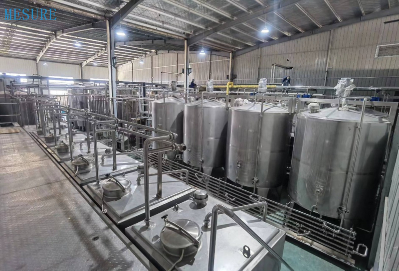 Système de traitement de l'eau Ro Filtre à eau Système d'osmose inverse pour la plante d'eau potable